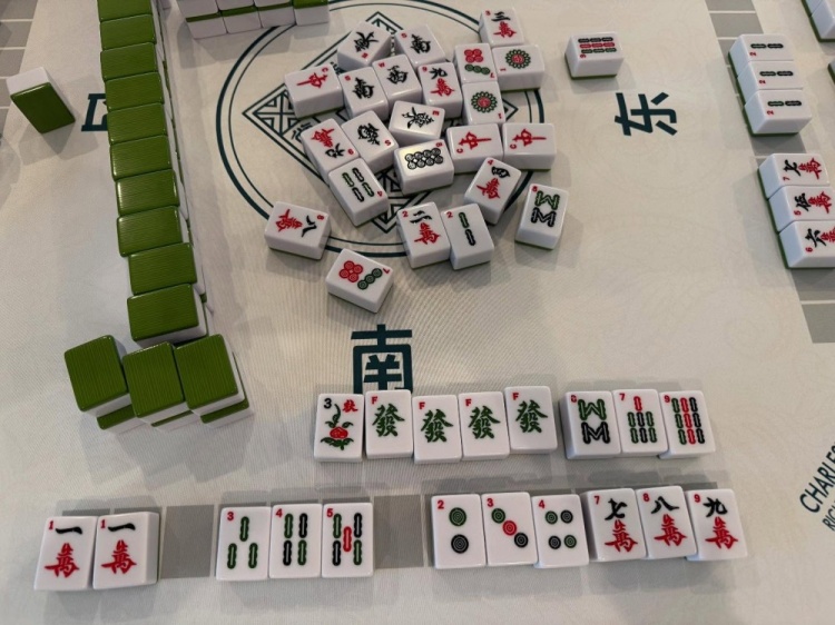 學(xué)習(xí)國粹！瓦妮莎打起了麻將 這麻將還是外國特供版